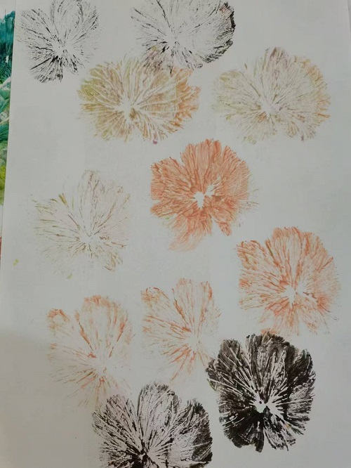 66be0bfd3b1126a77826e85d22c7e5d.jpg